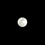 ...the moon, th' inconstant moon, That monthly changes in her circle orb...