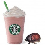 Starbucks Strawberry Frappuccino are a little buggy.
