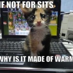 IF NOT FOR SITS, WHY IS IT MADE OF WARM?