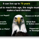 The Eagle Must Make A Hard Decision