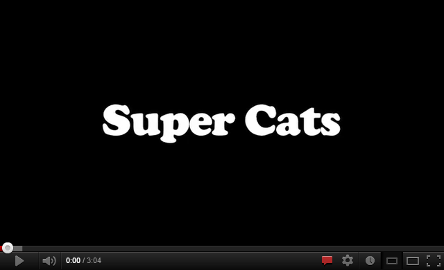 Cat Videos!