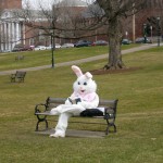 The Easter Bunny Reads A Book, So Should You