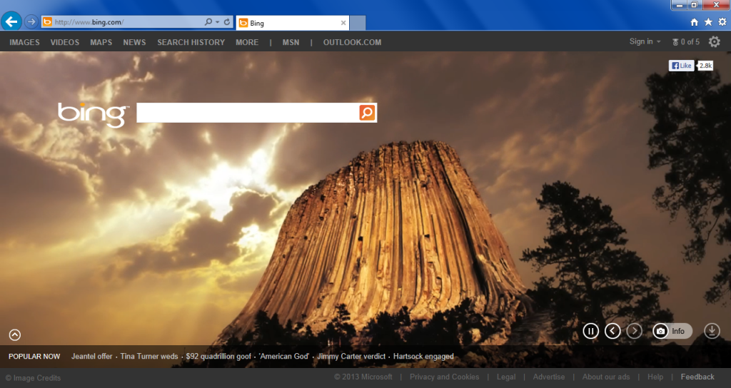 Telling the difference between a search box and your address bar can sometimes be a challenge, especially if you're new to surfing the Internet.