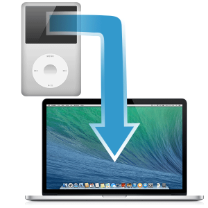 How to transfer iTunes from iPod to new computer